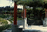 翠のコリドール